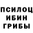 Псилоцибиновые грибы Psilocybe ismoil Gofutov