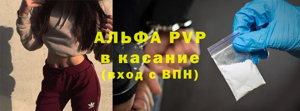 стаф Алзамай