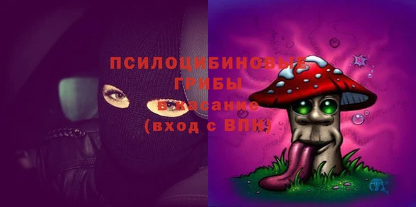 ГАЛЛЮЦИНОГЕННЫЕ ГРИБЫ Алексин
