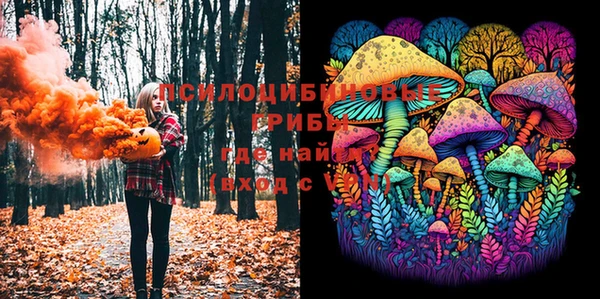 мескалин Абаза