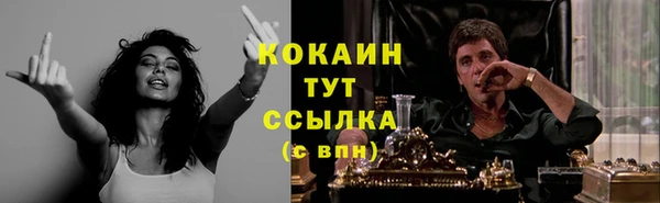 стаф Алзамай