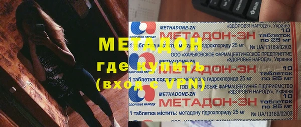 стаф Алзамай