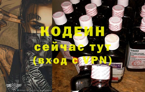 дживик Переславль-Залесский