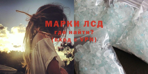 стаф Алзамай